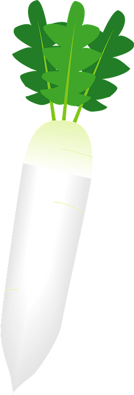 Cartoon White Radish Illustration