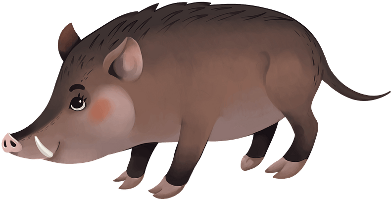 Cartoon Wild Boar Illustration