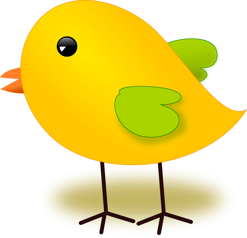 Cartoon Yellow Chick Illustration