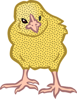 Cartoon Yellow Chick Illustration