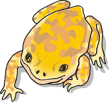 Cartoon Yellow Frog Illustration