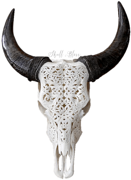 Carved Animal Skullwith Horns