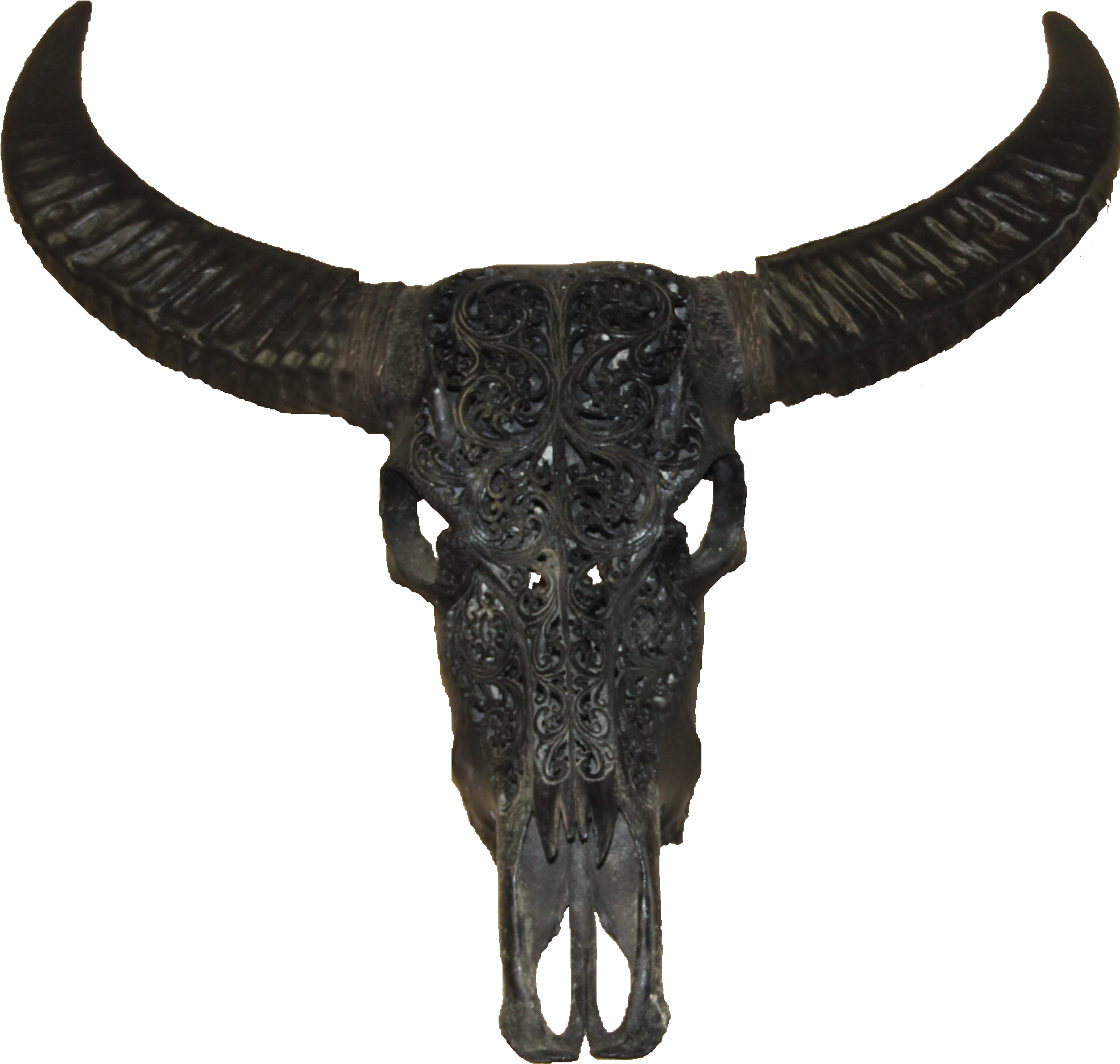 Carved Buffalo Skull Decor