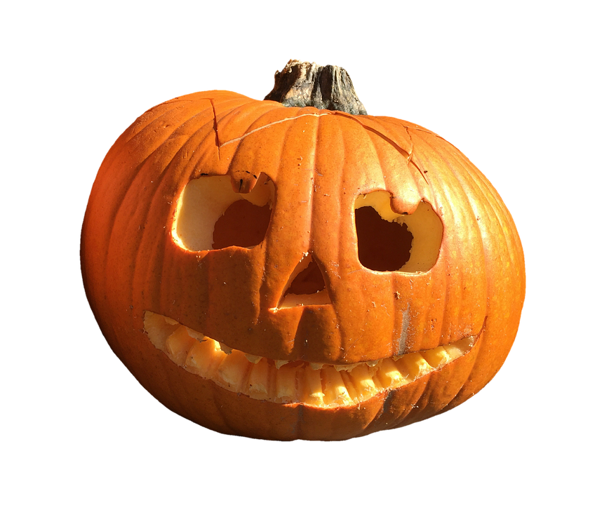 Carved Halloween Pumpkin Jack O Lantern