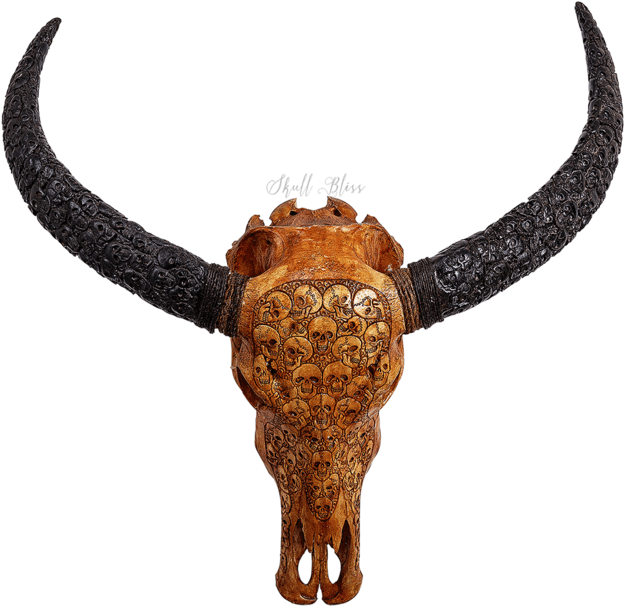 Carved Skullwith Long Horns