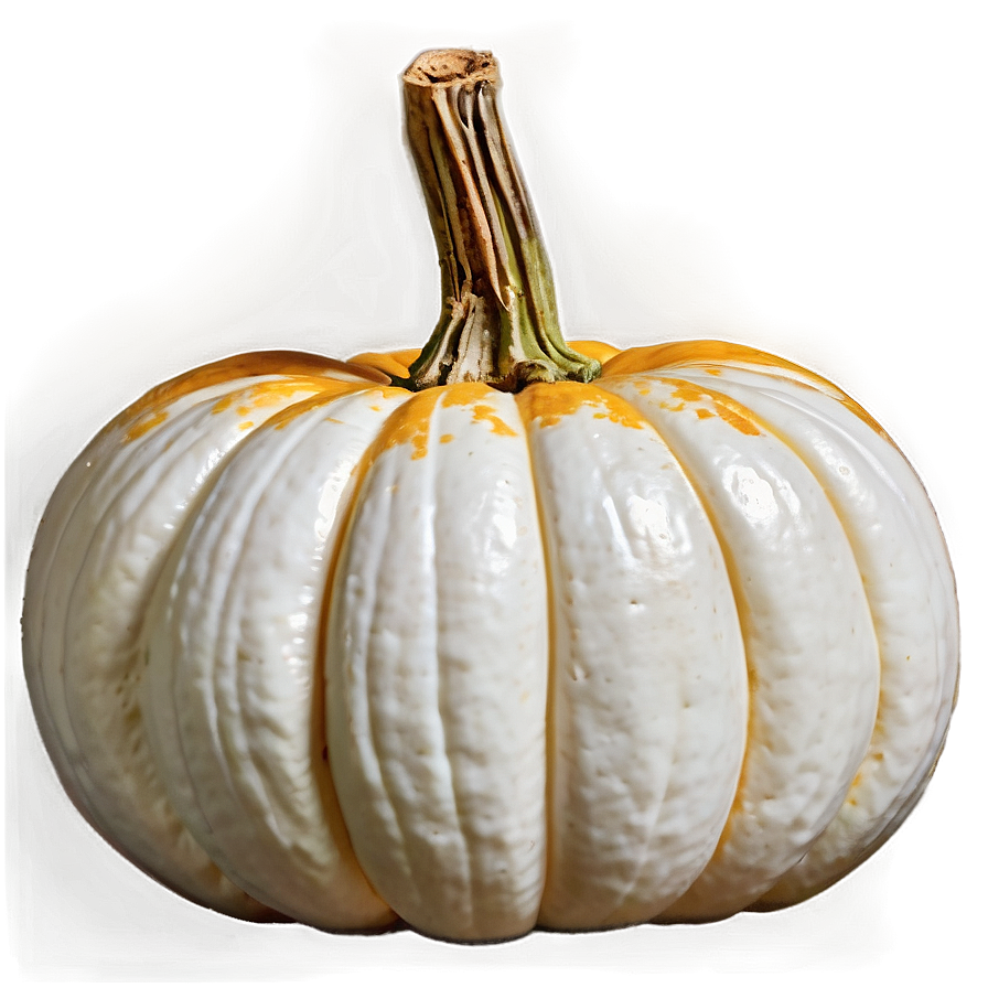 Carved White Pumpkin Png Xrn