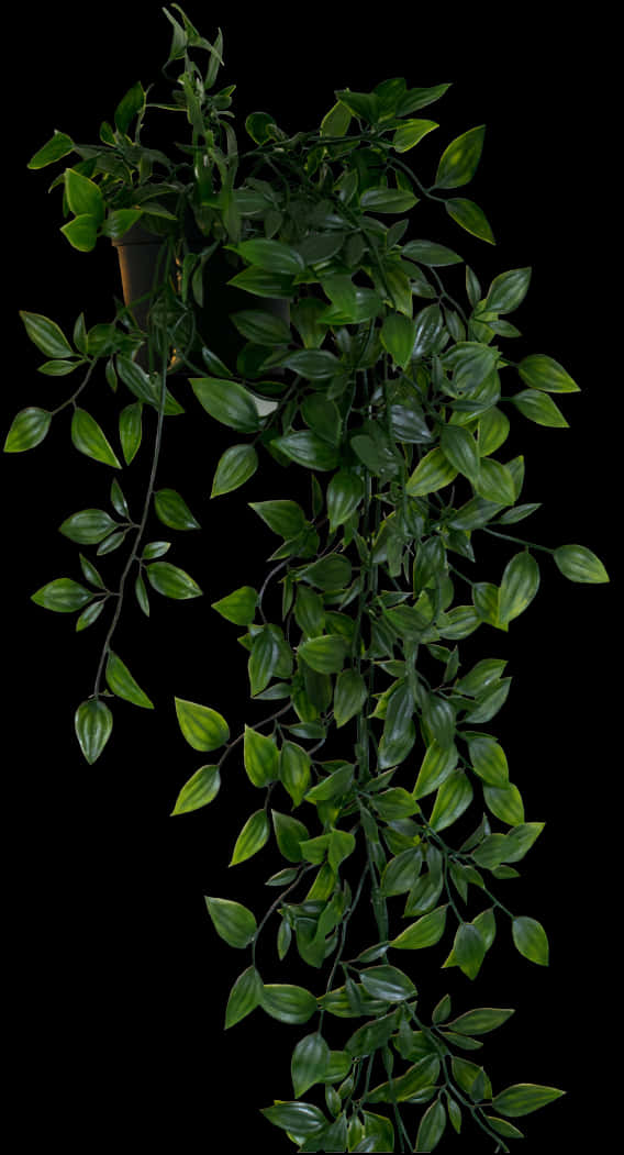 Cascading Greenery Hanging Plant.jpg