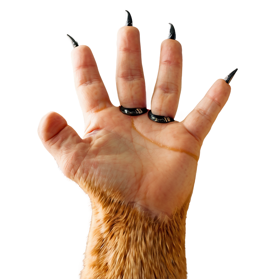 Cat Claws Image Png 42