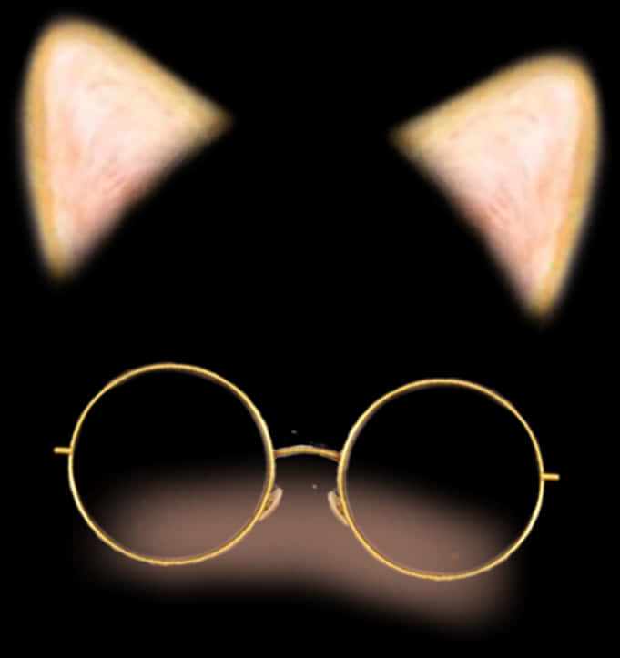 Cat Earsand Glasses Snapchat Filter