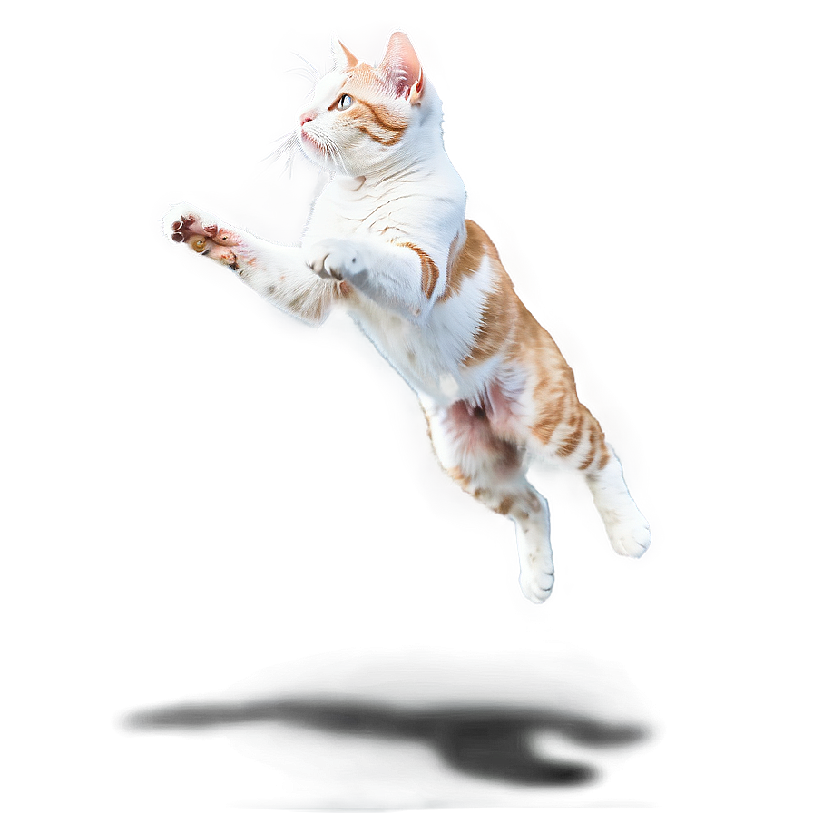 Cat Jumping Mid-air Png Brs