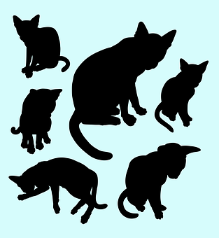 Cat Silhouettes Collection