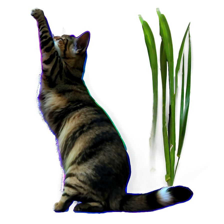 Cat Tail Movement Png D