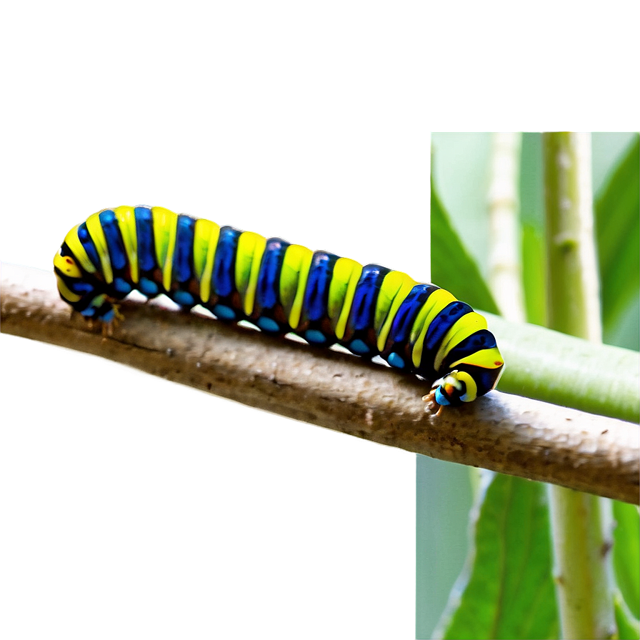 Caterpillar In Habitat Png 78