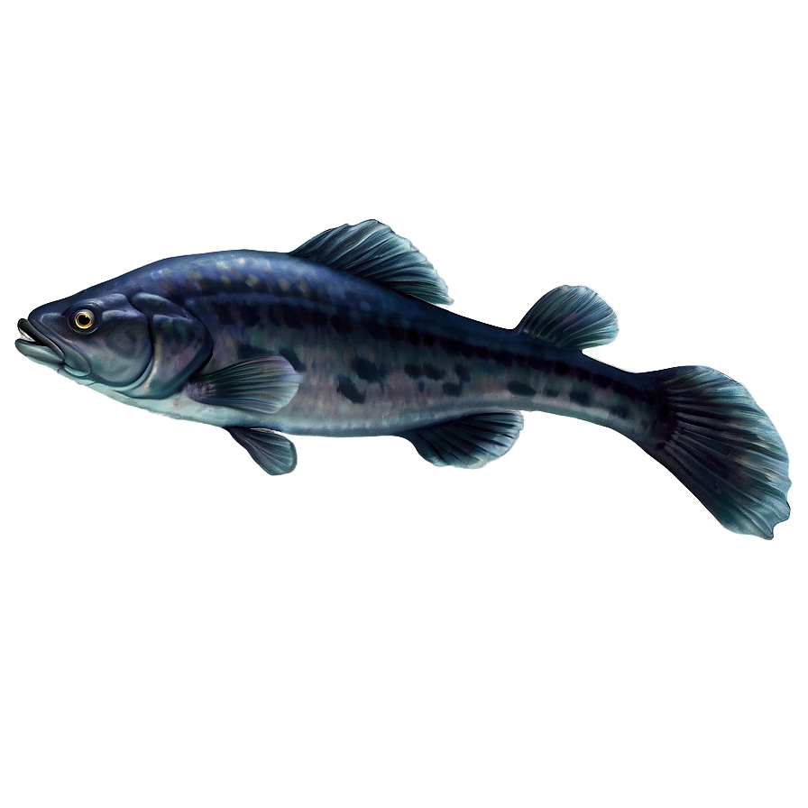 Catfish Png Jdl