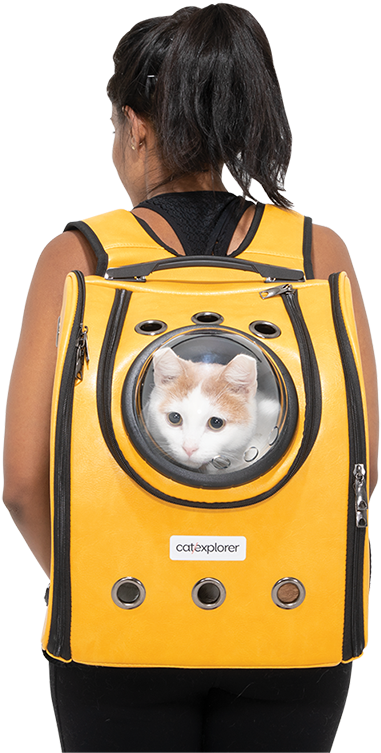 Catin Backpack Window