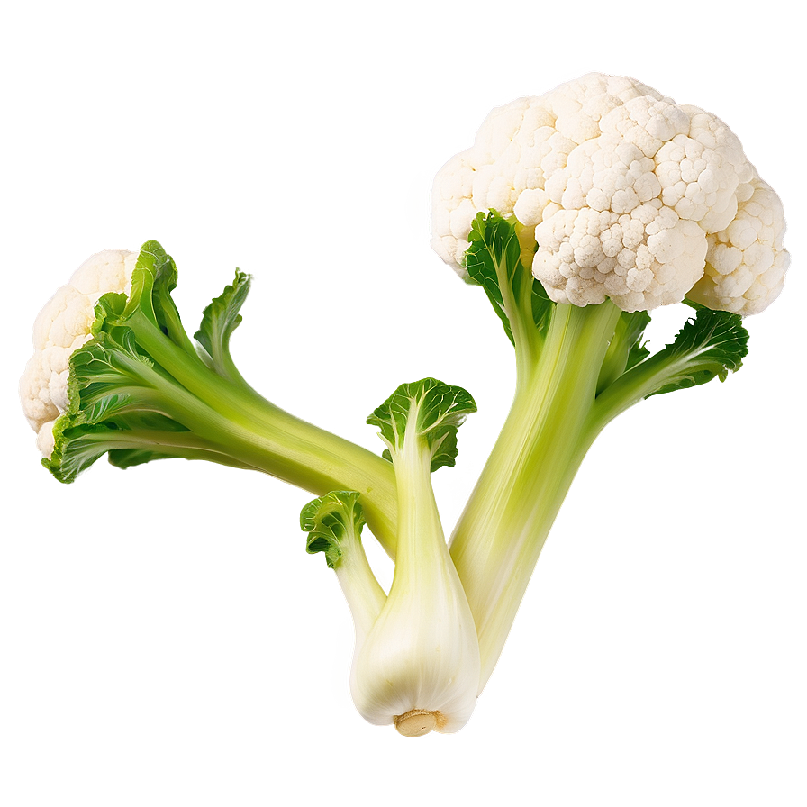 Cauliflower Floret Png 06122024