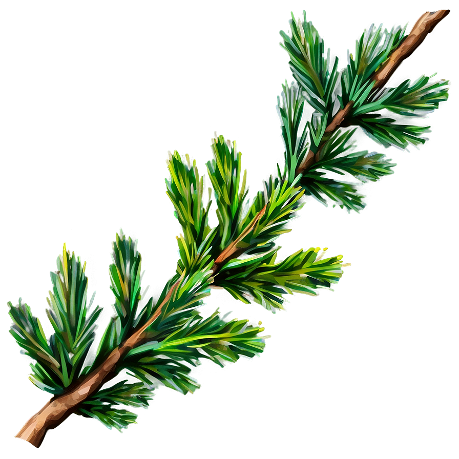 Cedar Tree Branch Png Qoc1