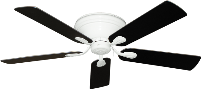 Ceiling Fan Black Blades