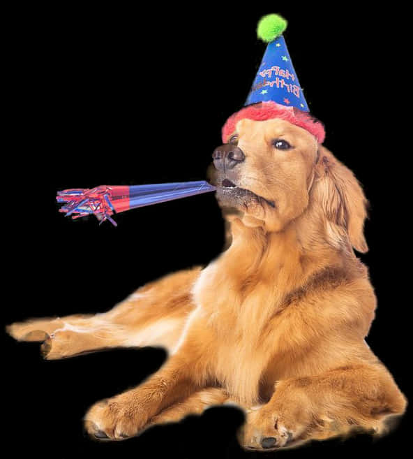 Celebratory Dog With Party Hat