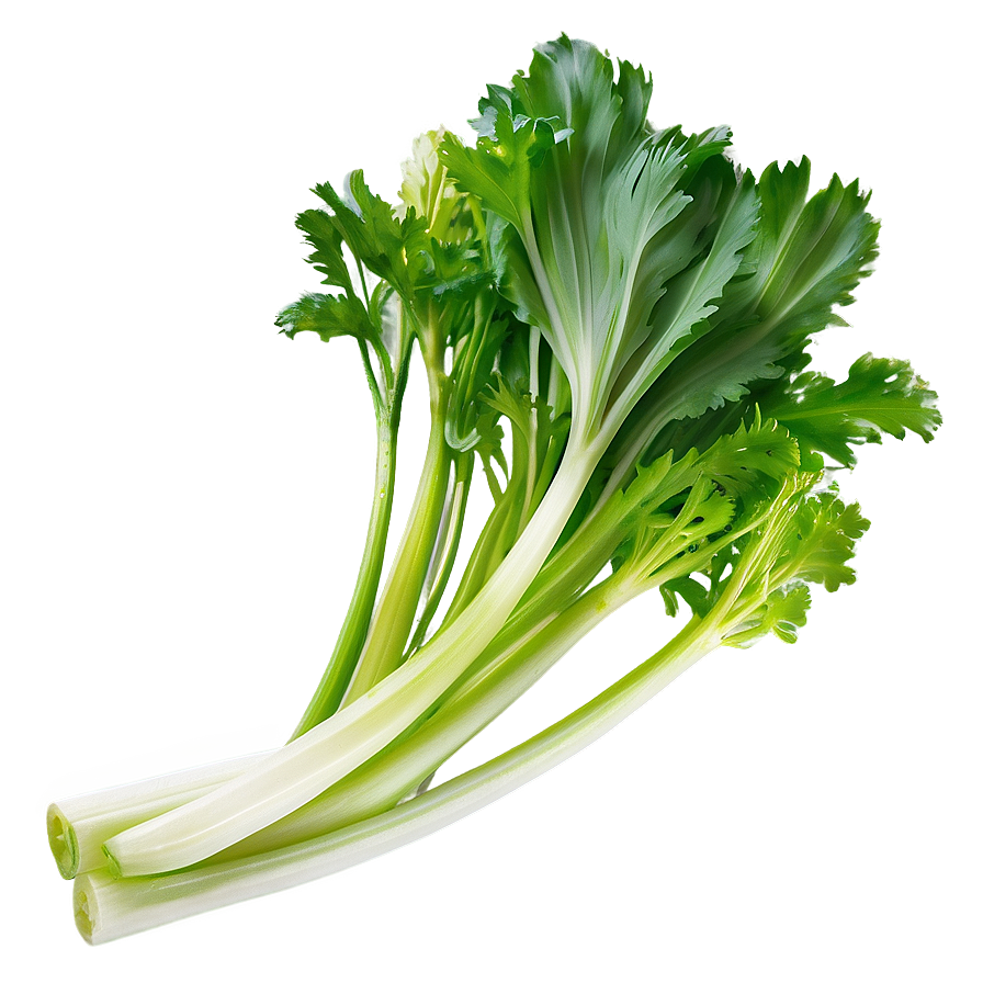 Celery B