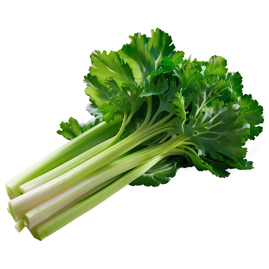 Celery Farm Fresh Png Wxq75