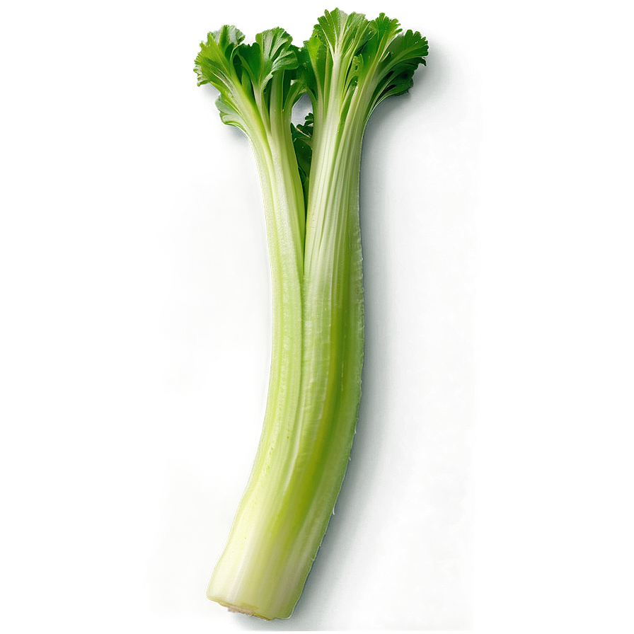 Celery For Detox Png 06252024