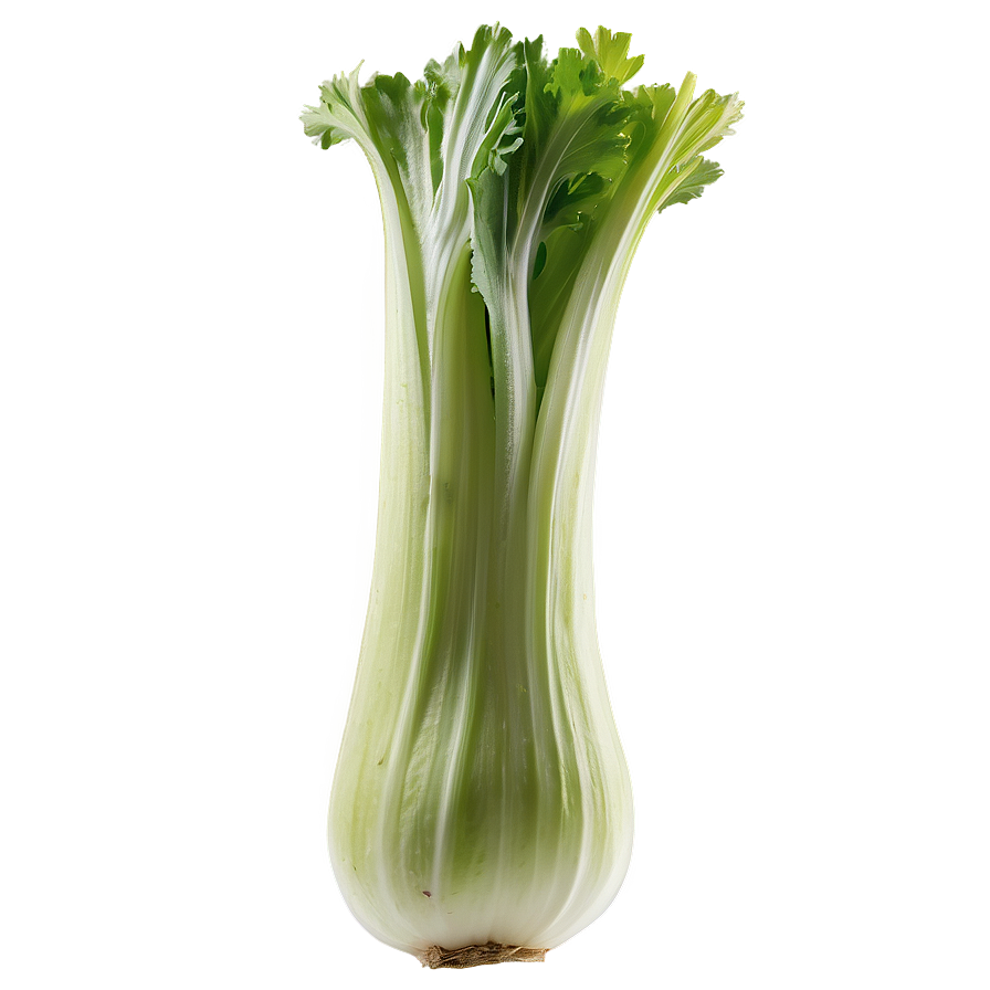 Celery For Detox Png 92