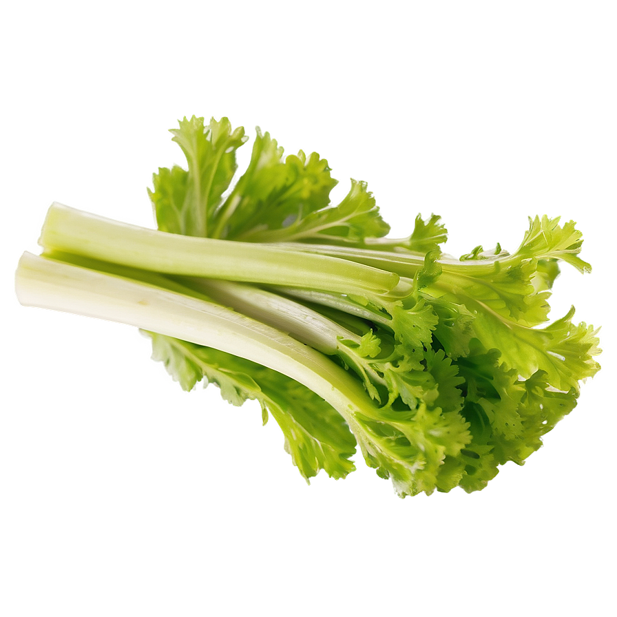 Celery For Salad Png 06252024