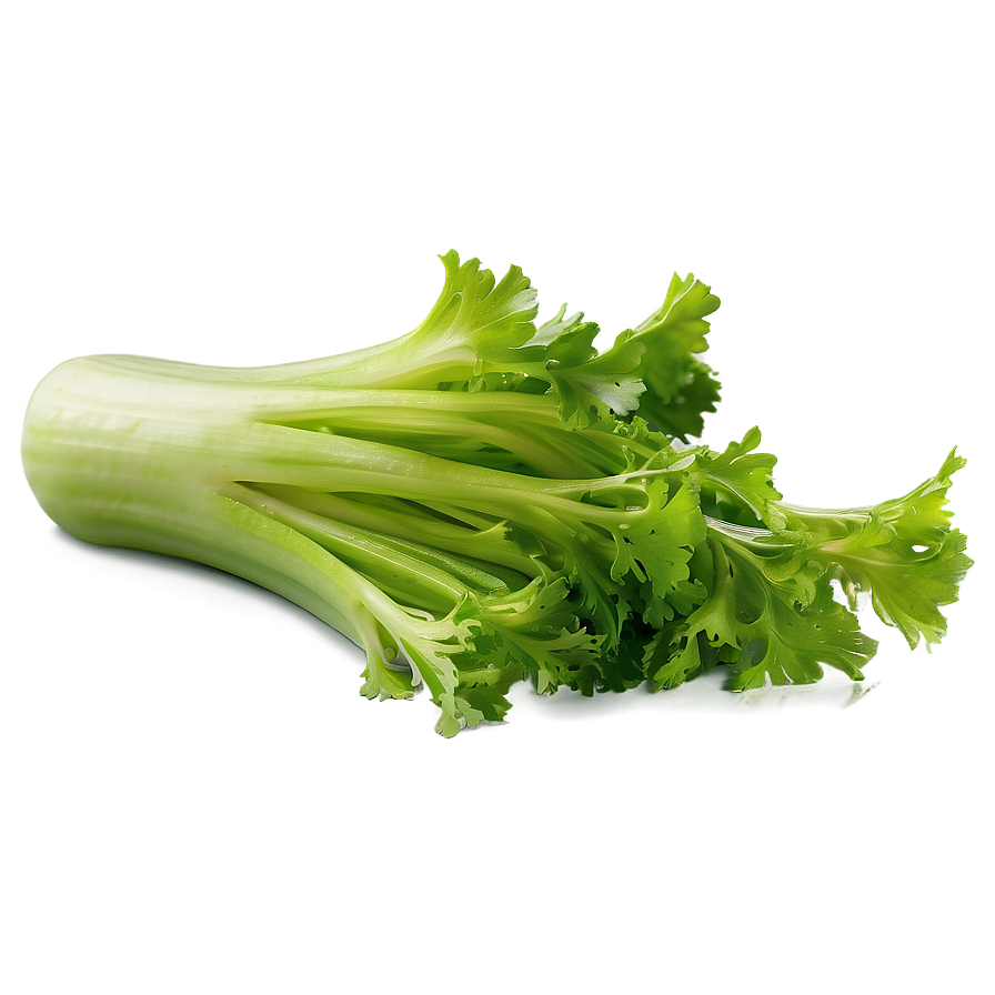 Celery Piece Png Dyb75