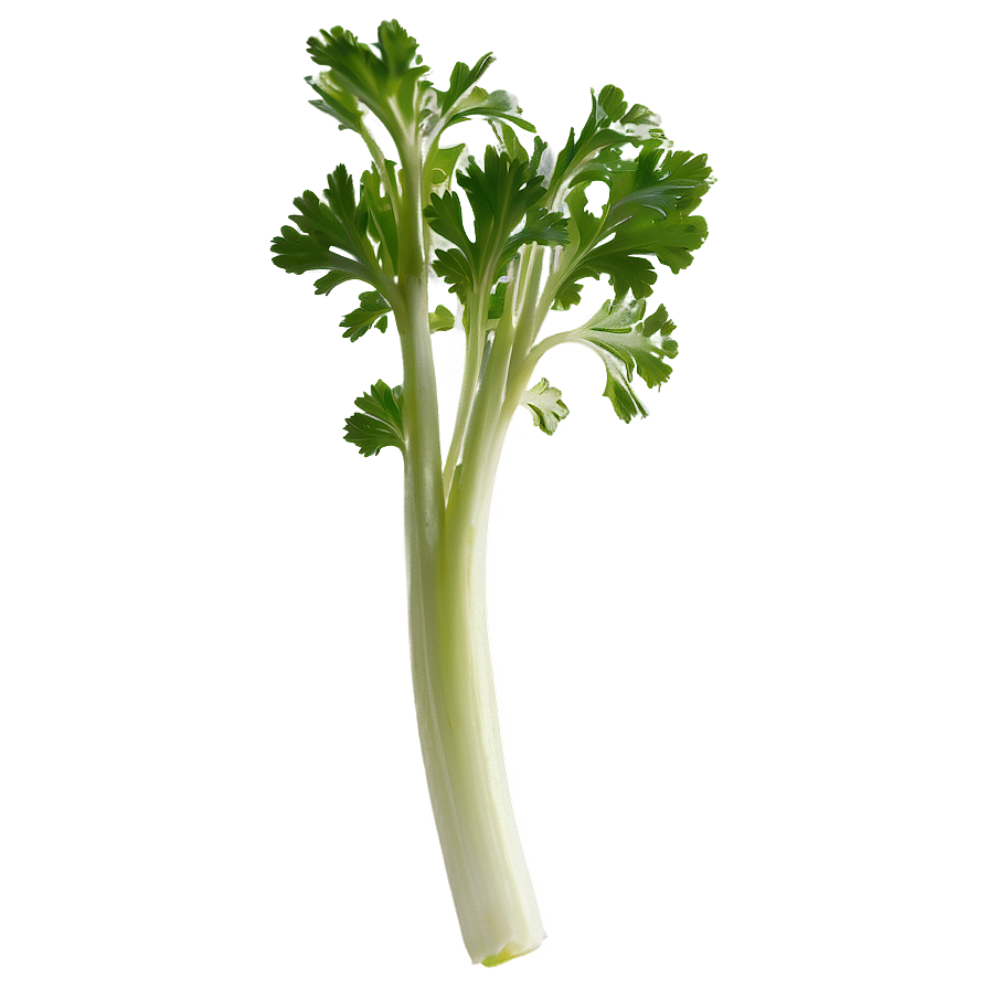 Celery Sprig Png Fma78