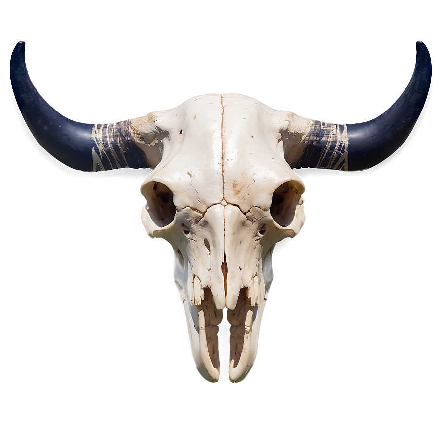 Celestial Cow Skull Png 06132024