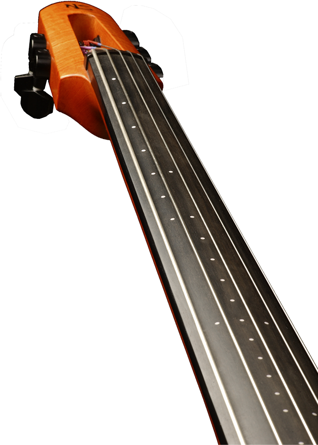 Cello Neckand Strings Up Close