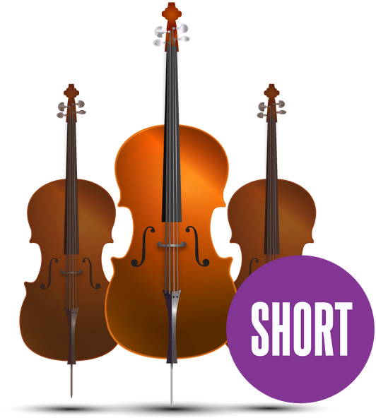 Cello Size Comparison Chart