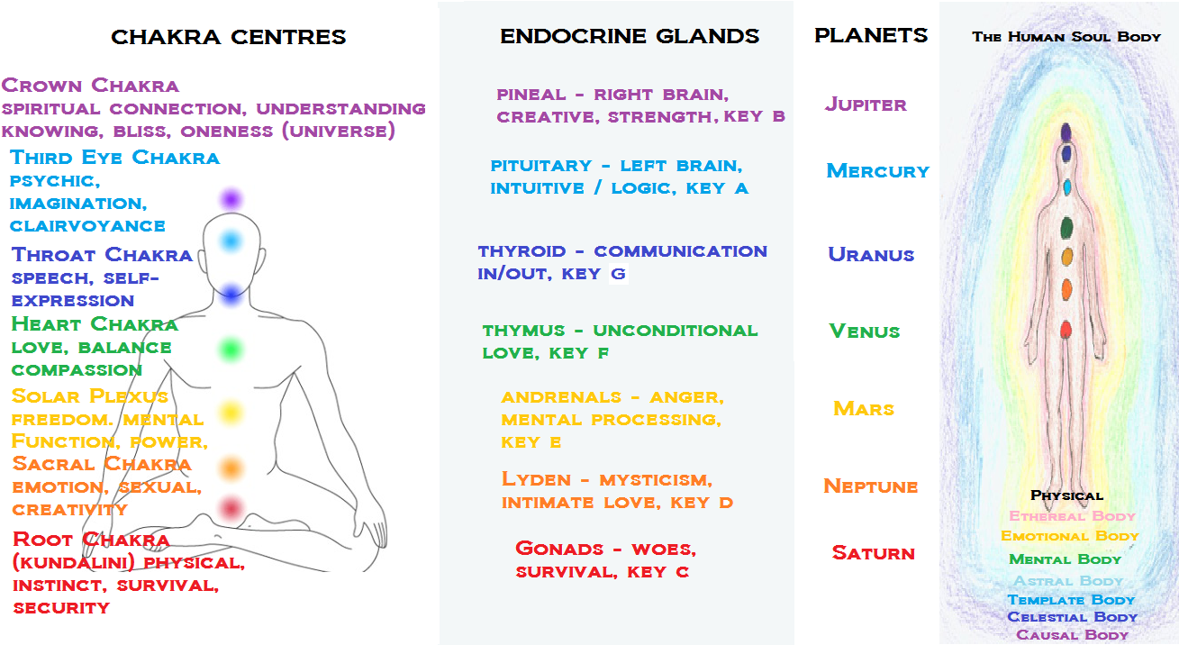 Chakra Endocrine Planets Correlation Chart