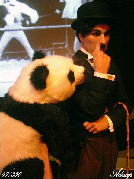 Charlie_ Chaplin_ With_ Panda_ Performer