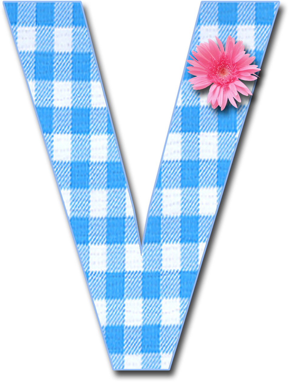 Checkered Letter Vwith Pink Flower