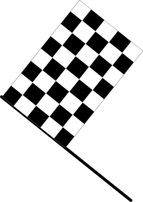 Checkered Racing Flag Graphic