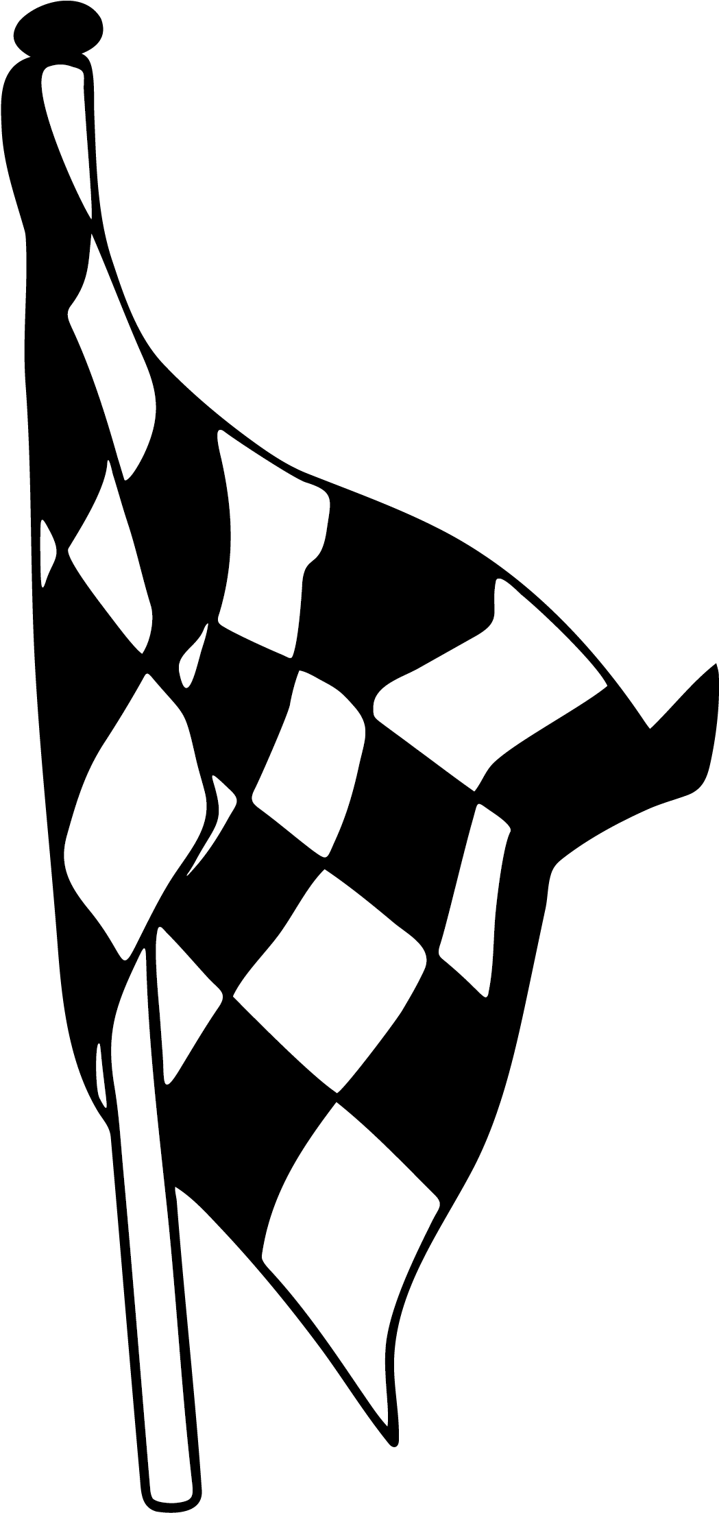 Checkered Racing Flag Graphic