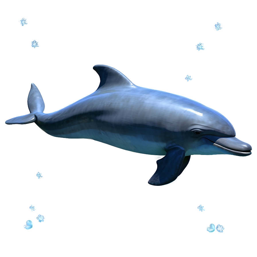 Cheerful Dolphin Png Kis71