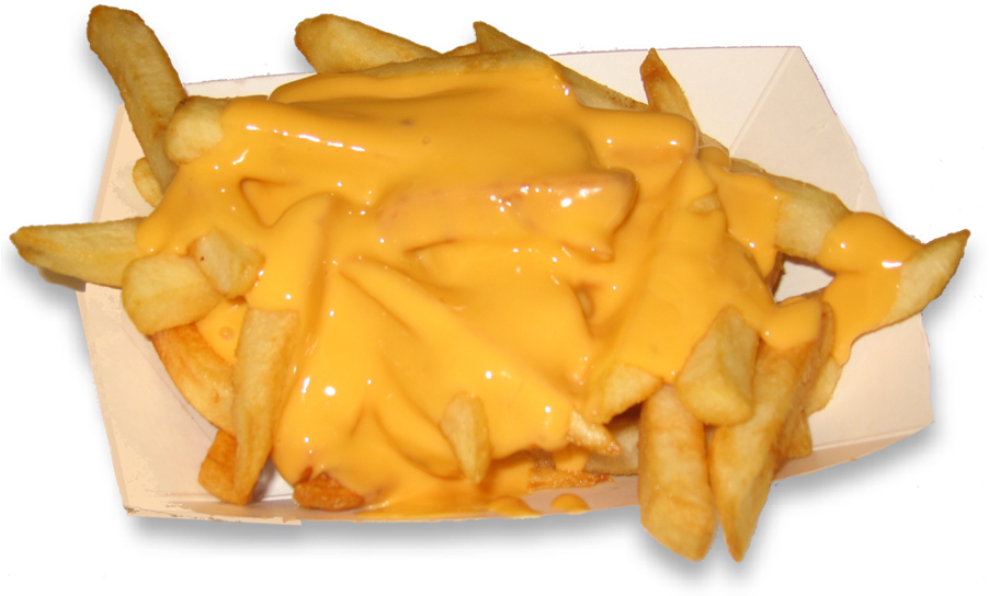 Cheesy Fries Dish.png