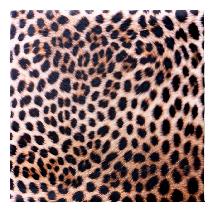 Cheetah Print Invitation Background Png Crl20