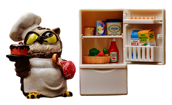 Chef Owlwith Cakeand Fridge