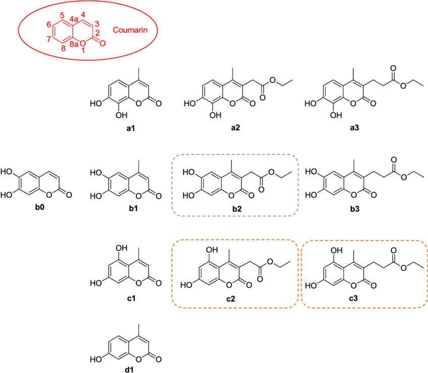 Chemical_ Structures_with_ Rounded_ Rectangles_ Highlighting