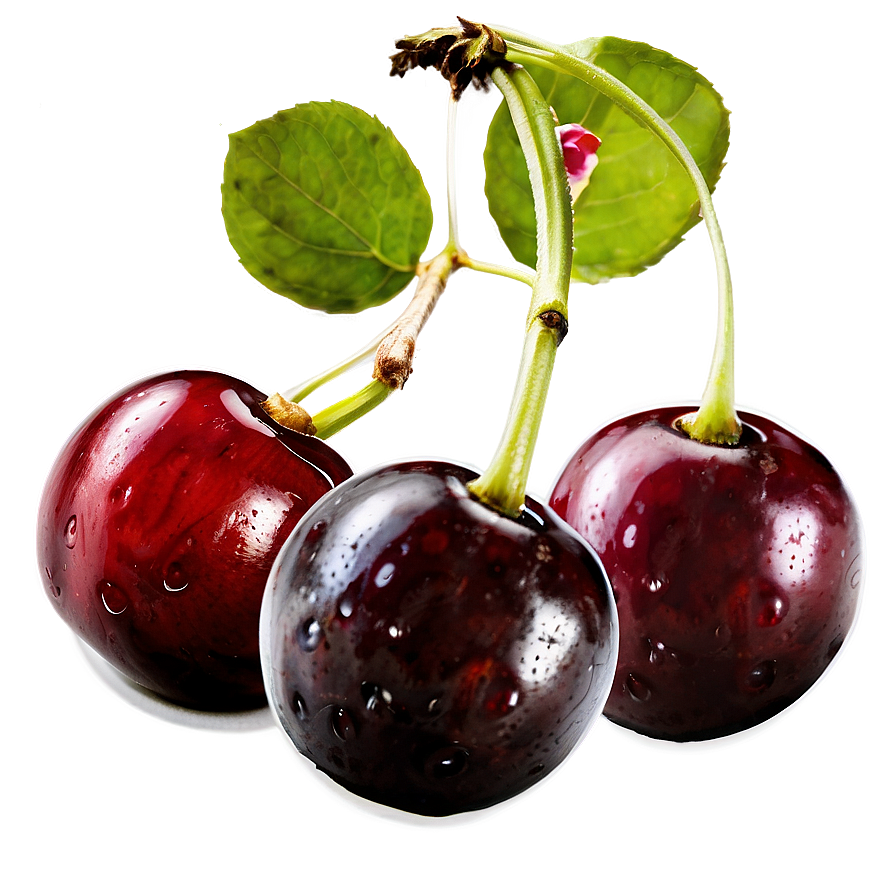 Cherries Isolated Png 06212024