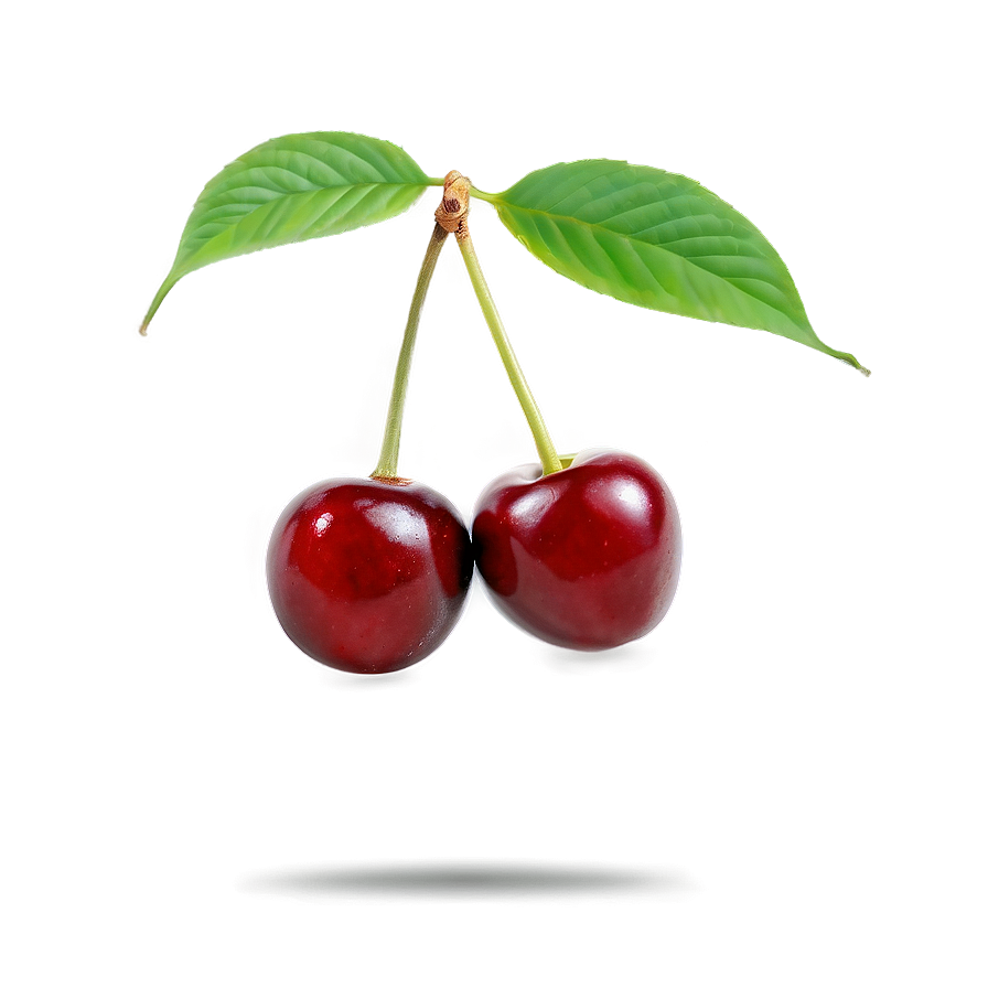 Cherries Isolated Png Tyh7