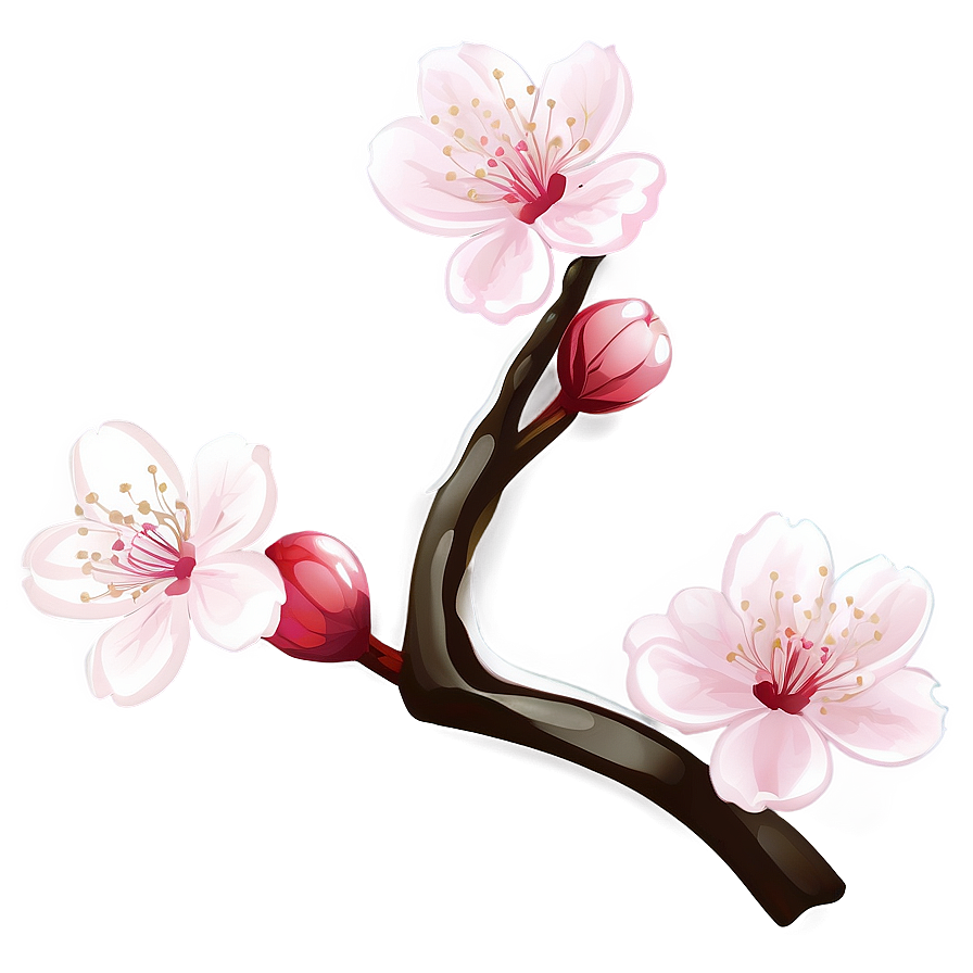 Cherry Blossom Aesthetic Wallpaper Png Gxa98