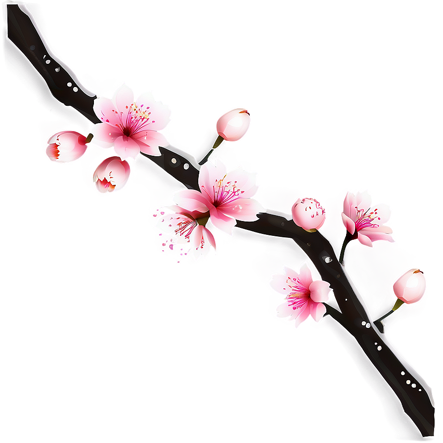 Cherry Blossom Border Png 25