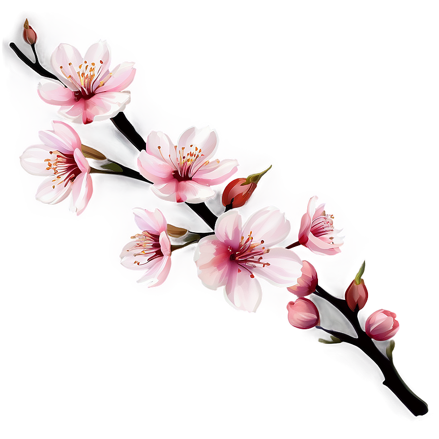 Cherry Blossom Bouquet Png Bpt78