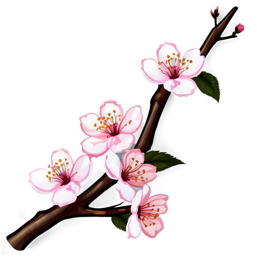 Cherry Blossom Branch Design Png 05032024