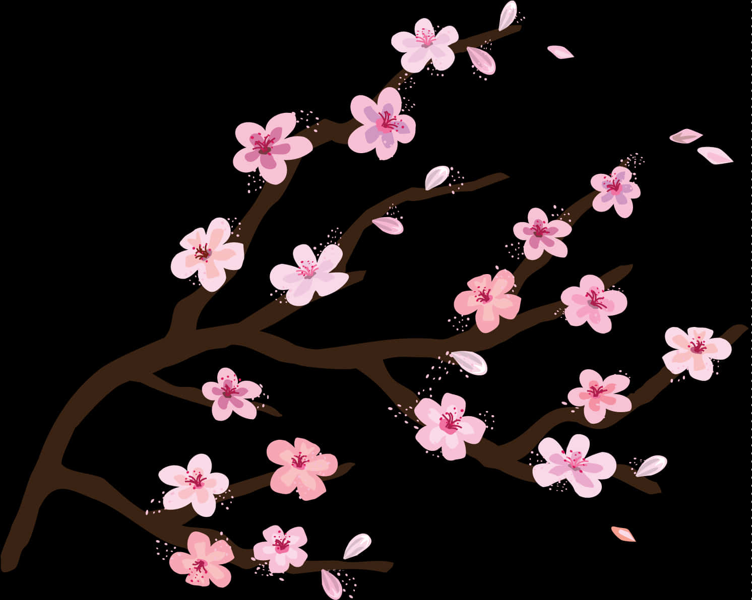 Cherry Blossom Branches Illustration